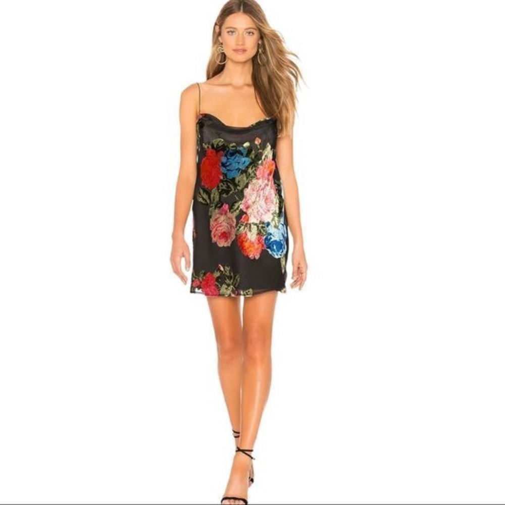 Show me your MuMu Sabine Slip Dress in Midnight Fiesta Burnout Velvet